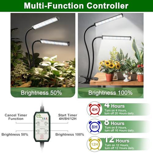 Grow Light 100W 6000K, Super Bright White Desktop Clip Plant Lamp | Desk Lamp for Pot Seedlings Succulents Seeds Indoor Plants Growing,Bendable Gooseneck & Timer 4 8 12 H - size: 100Watts