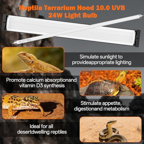 T5 UVB Reptile Light Fixture Combo Kit 24W: 10.0 UVB Light for Reptiles Terrarium Hood Comes with Ho UVB Lamp, 22'' Linear UVB Light Bar for Desert Bearded Dragon,Turtle,Gecko - UV Sensor Test Card - size: 22.6INCH-10.0