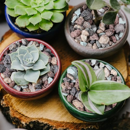 12lbs Horticultural Lava Rocks for Plants, 3/8 Inch Cactus Rocks | Potting Soil Amendment for Succulents, Cacti, Bonsai, Decorative Gravel Plant Drainage Volcanic for Terrarium, Top Dressing
