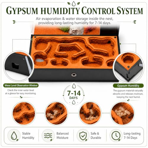 Terra Core Series Hybrid Formicarium Ant Nest, Vertical & Flat Chamber Design with Hydration System, Expandable Habitat & Starter Kit