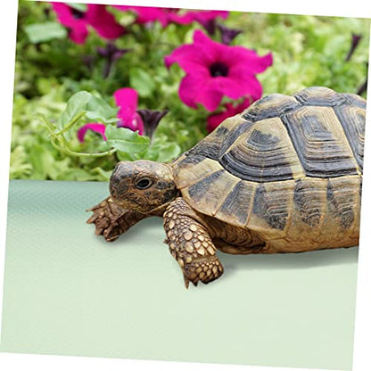 Eva Reptile Terrarium Carpet Snake Lizard Bedding Mat Bearded Dragon Accessories - color: Light Green