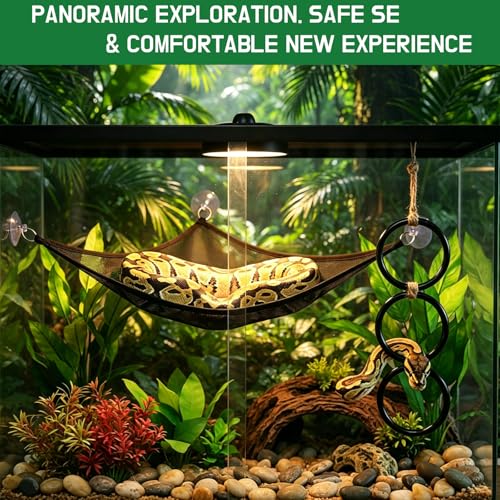 Snake Climbing Rings with Hammock, Reptile Enrichment Toys for Snakes | Suitable for All Kinds of Small Reptiles,Enrichment Rings for Small Ball Python Corn