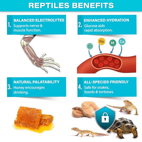 Gargeer 3.5oz Electrolyte Drink Supplement for All Reptiles. Made in USA | Science-based electrolyte powder! Dissolves easily to restore fluid balance during shedding, heat stress & travel