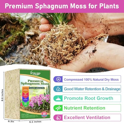 3.3lb Sphagnum Moss for Plants, 60QT Orchid Moss Potting Mix | Long Fiber Sphagnum Moss Dried for Plants Indoor, Orchid Repotting, Succulent, Carnivorous Plants, Terrarium and Reptiles - size: 3.3lb