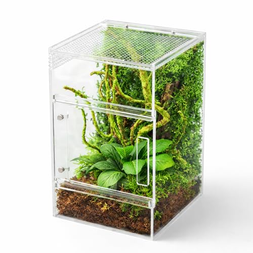 Jumping Spider Enclosure Kit, Waterproof Clear Acrylic Spider Terrarium, Front Opening + Top Access, Ventilated Insect Habitat with Moss Vine, Green Plant, 2 Moss Packs & Invisible Line (6-Piece Set)