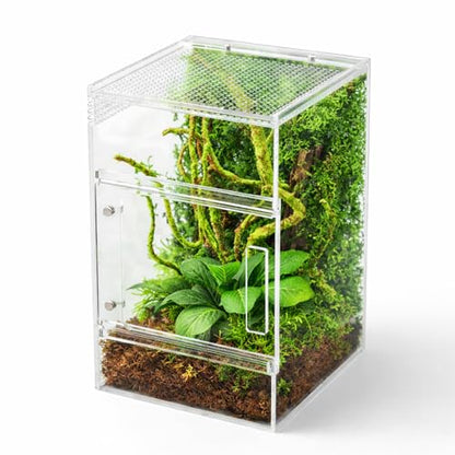 Jumping Spider Enclosure Kit, Waterproof Clear Acrylic Spider Terrarium, Front Opening + Top Access, Ventilated Insect Habitat with Moss Vine, Green Plant, 2 Moss Packs & Invisible Line (6-Piece Set)
