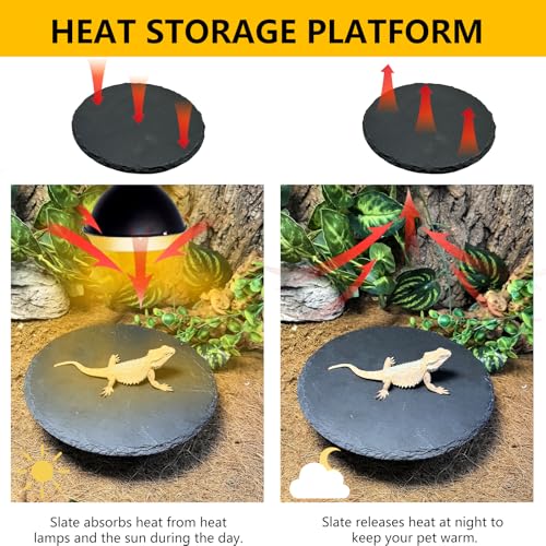 Reptile Basking Platform 2PCS 7.8IN Turtle Rock Slate Plate Feeding Plate Food Bowl Dish Tortoise Bathing Resting Terrace for Lizard Bearded Dragon Chameleon Gecko Snake Frog Newt - size: 7.8inch(2pcs)