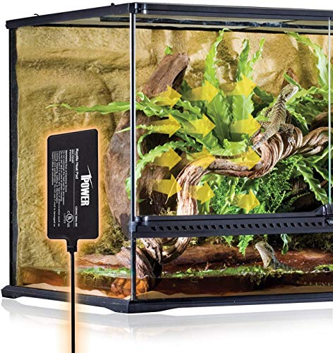 iPower 4"x7" Reptile Heat Mat Under Tank Terrarium Heater Warmer Heating Pad, Digital Thermometer and Hygrometer with Temperature and Humidity Probe for Amphibian Pet and Small Animals - size: 4 X 7 Inch, style: Pad + Thermo & Hygrometer
