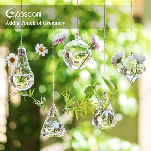 Glasseam Hanging Plant Propagation Station: 5Pcs Small Glass Terrarium Jars | Hydroponic Planters for Indoor Pothos Cutting Propagate, Home Wall Window Decor, Handmade, Gifts for Plant Lovers