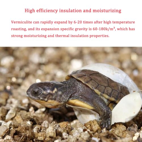 Reptile Feeding Box Turtle Transport Breeding Box Egg Incubator Container with 1.1lb Reptile Substrate Vermiculite Bedding for Snake Tortoise Lizard Hatching Eggs