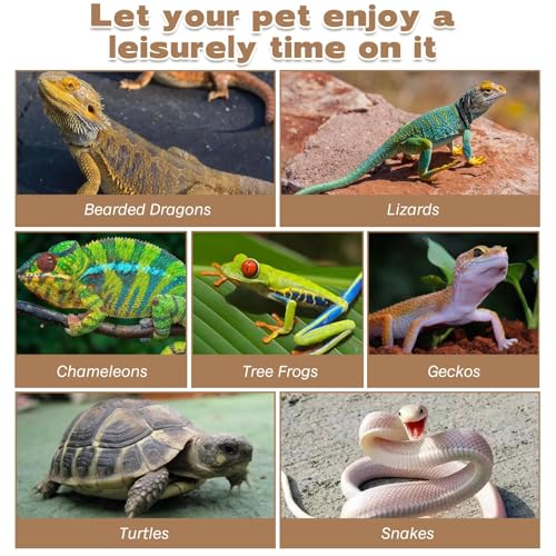 kathson Bearded Dragon Hammock, Natural Seagrass Reptile Hammock, Reptile Lounger Bearded Dragon Tank Accessories for Chameleons, Lizards, Geckos, Snakes, Lguana Reptiles, Geckos (29.52 x 7.08 inches)
