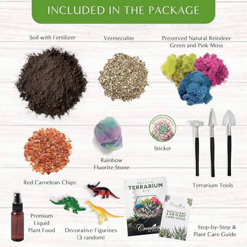Creations by Nathalie DIY Terrarium Kit with Moss, Soil, Tools & Decor | DIY terrarium starter kit with moss, soil, pebbles, tools, crystals, and figurines for creating indoor plant displays.