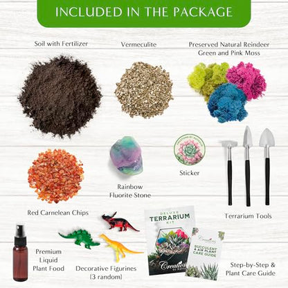 Creations by Nathalie DIY Terrarium Kit with Moss, Soil, Tools & Decor | DIY terrarium starter kit with moss, soil, pebbles, tools, crystals, and figurines for creating indoor plant displays.