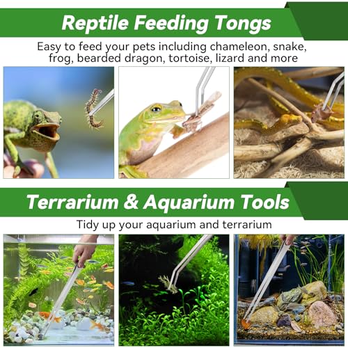 Long Tweezers for Aquarium 15 inch - 2 Pcs Stainless Steel Reptile Feeding Tongs, Curved and Straight Design with No Slip Tips,Terrarium Aquascape Tools Snake Bearded Dragon Tank Accessories