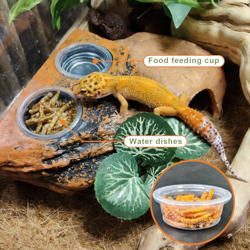 Tfwadmx 0.5oz 500pcs Gecko Feeding Cups, Reptile Food Dish and Water Cups Reptile Feeding Bowls Gecko Tank Accessories for Lizards Snake Crabs - size: 0.5oz 500pcs