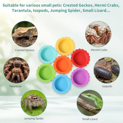 Crested Gecko Food Dish 7PCS, Silicone Reptile Feeding Dish Water Bowl Small Gecko Feeding Cups Reptile Tank Accessories for Hermit Crab Tarantula Isopods Snails and Lizard 7 Colors