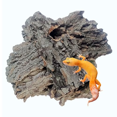 Reptiles Cork Bark Bits Substrate,1 LB Terrarium Bark Bedding Bulk for Geckos Snake Isopods Bearded Dragon Spiders Lizard Tarantula Hermit Crabs - size: 【1.0 LB】