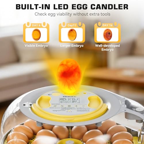 IBKINXX 26 Egg Incubator for Hatching Eggs - Smart Voice Guidance | 360° View with Automatic Temp & Humidity Control, Auto Egg Turning & Built-in Egg Candler for Chicken, Duck, & Quail