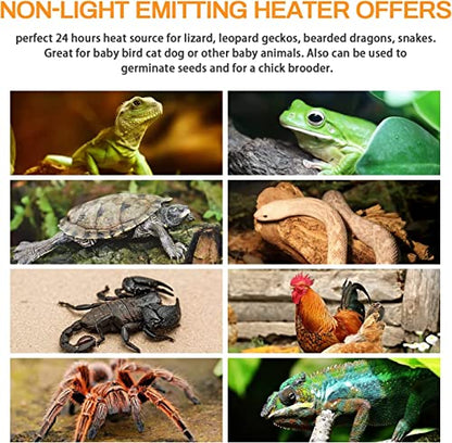 HealSmart Reptile Heat Lamp Bulb Ceramic Heat Emitter 100W No Light Emitting Brooder Coop Heater for Amphibian Pet & Incubating Chicken, 2 Pack, White