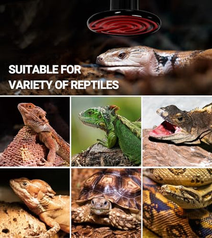 REPTI ZOO 100W Reptile Heat Lamp 2Pack Ceramic Heat Emitter Night Heat Lamp Bulbs Reptile Terrarium Heat lamp Tank Heat Bulb for Turtle Bearded Dragon Gecko Lizard Snake Chicken E26 - style: 100W/2PCS