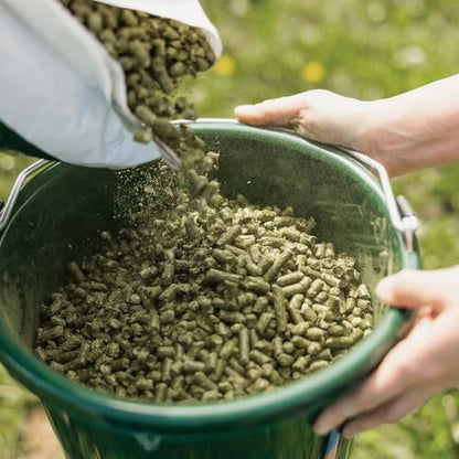 Standlee Certified Timothy Pellets for Horses, 40 lbs