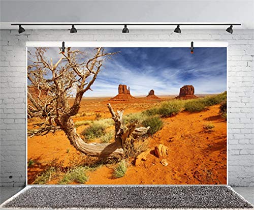 Leyiyi 6x4ft Monument Valley Photography Background American National Park Navajo Tribal Park Cowboy Western Desert Plant Rock Dry Trunk Warship Landmark Film Polyester Backdrop Terrarium Background - color: Desert4, size: 6x4ft-P