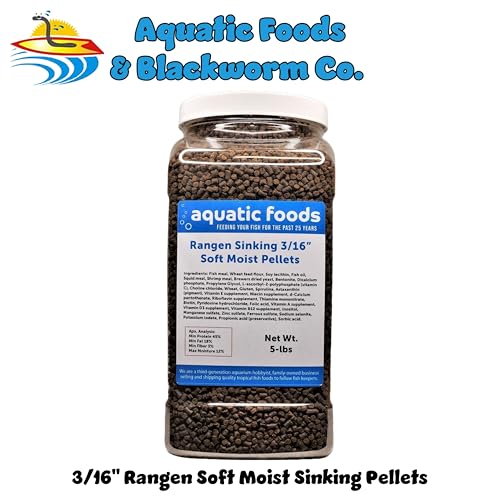 3/16" Soft Moist Sinking Salmon Pellets for Adult Axolotls, Shrimp, Snails, Crabs, Small Amphibians, Bottom Tropical Fish...5-lb Lg Jar - size: 5 Pound (Pack of 1)