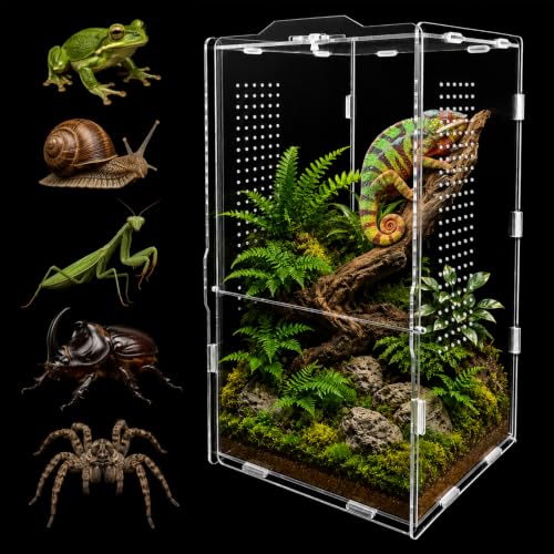 Jumping Spider Enclosure, Insect Terrarium, Bug Cage, Acrylic Terrarium for Tarantula, Snail, Praying Mantis, Frog, and Small Reptiles (6.5" x 6.5" x 11.8") - size: 6.5" x 6.5" x 11.8"