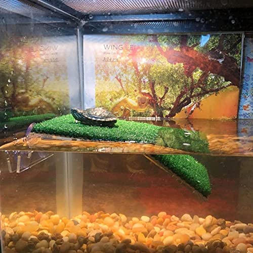 Turtle Basking Platform,Tortoise Ramp Reptile Ladder Resting Terrace Fish Tank Aquarium Turtle Dock Floating Décor for Small Reptile Frog Terrapin(S) - size: Small