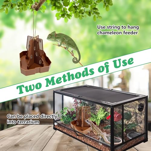 2PCS Reptile Hunting Bowl,5.8"×5.8"×6.1" H Insect Feeding Box with Rope and Tweezers Chameleon Feeder Bowls Hanging Bearded Dragon Bug Bowls Mounted Insect Reptile Feeder Box(Brown,Large) - color: Brown, size: Large:5.8"L×5.8"W×6.1"H