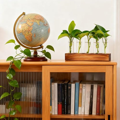 Plant Propagation Station, Plant Terrarium with Wooden Stand | Plants Pots for Hydroponics, Small Birthday Gardening Gifts for Women Mom Plants Lovers Unique - 5 Glass Test Tubes Vases - size: 5 Test Tube