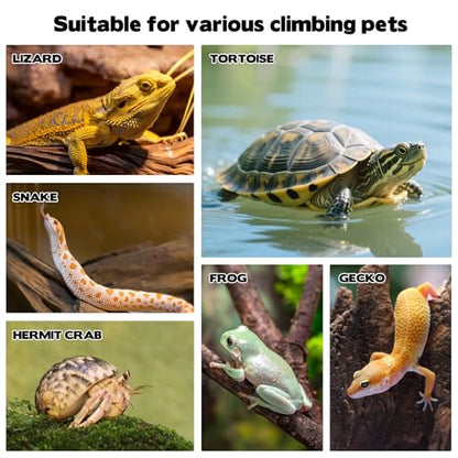 Reptile Bathing Pool with Ramp, Turtle Soaking Dish with Pet Food Feeding Plate Reptile Feeding Dish Water Bowl Bathing Pool Aquarium Ornament for Gecko, Turtle, Bearded Dragon, Lizard Bath