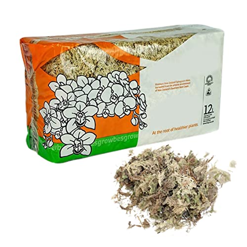 Sphagnum Moss Dried Spagnum Dry Moss for Reptiles Bedding and Terrarium Pet Supplies 150g Sphagnum Dried Dry for Reptiles Reptile Spagnum for Plants