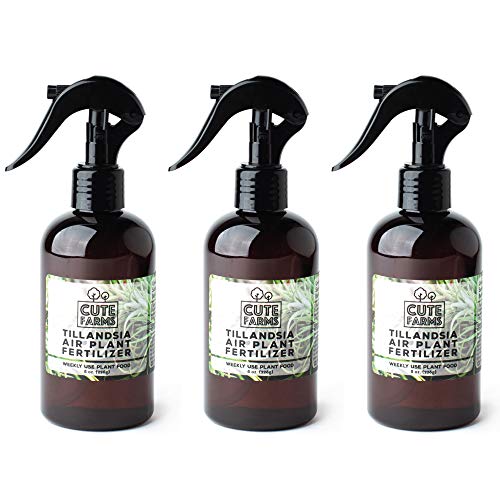 Cute Farms Tillandsia Air Plant Fertilizer | Gentle Weekly Use Formula Plant Food | Formulated Nutrients for Air Plants (8 oz Spray Bottle, 3 Pack) - size: 8 oz (3 Pack)