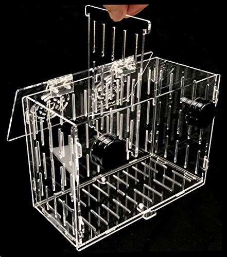 Magnetic Acclimation Breeder Box 4.5" / 8" /12" for Fish Anemone Coral Strong N52 Magnets for 1/2" Glass (8"x4"x6") - size: 8"x4"x6"