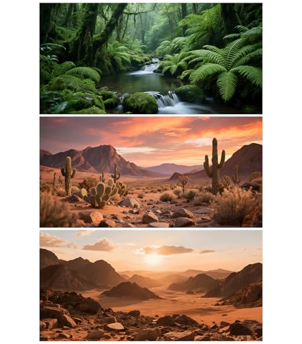 3 Pack Terrarium Background Polyester Reptile Background，Gobi Sunshine Cactus Stone & Green Tree Fern Stream Terrarium (30 inches x 12 inches) - size: 30 x 12 inches