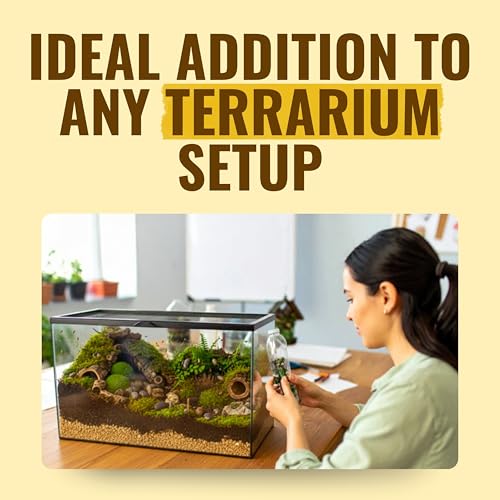 Creation Cultivated 12+ T+ Albino Armadillidium vulgare Isopods Live - Live Bugs for Bioactive Terrarium, Vivarium Clean-up Crews, and Reptile Food - Easy-Care Isopods for Terrarium