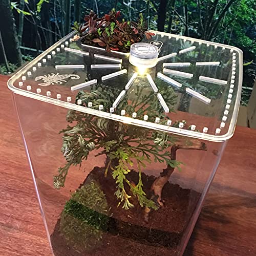 Acrylic Clear Reptile Terrarium Enclosure Cage, Reptile Breeding Box Lizard Spider Tank Climbing Pet Box with LED Light
