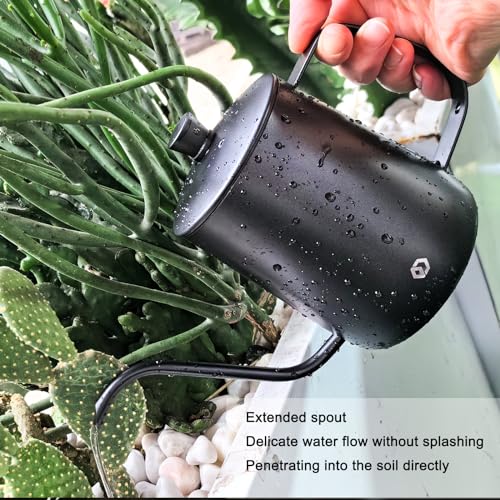 Watering Can for Indoor Plants, Black Water Can Spray Bottle 2 Pack | Long Spout Metal Stainless Steel 21 oz Watering Can with 14 oz Glass Plant Mister Spray Bottle for Plant Bonsai Water Can - color: Black Watering Can + Grey Spray Bottle