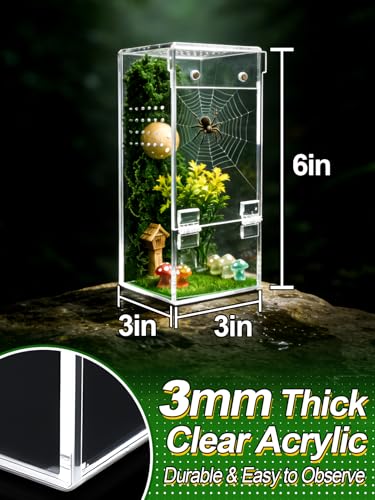 Escape Proof Jumping Spider Enclosure, Tarantula Terrarium Accessories Kit | MADHOLLY One-Piece, No Assembly Required, with Magnetic Door, Micro Vent Holes, DIY Decors, for Mantises/Insects, 3x3x6in