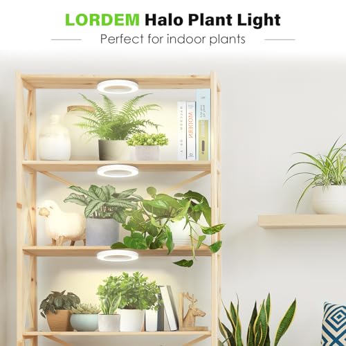 LORDEM 6.3” Ceiling Grow Lamp for Indoor Plants, 216 LEDs Full Spectrum Halo Plant Light, Under Cabinet Grow Lights with 4/8/12H Auto Timer, 3 Switch Modes, 4 Dimmable Brightness Levels, Tri Head - color: Triple Light--White