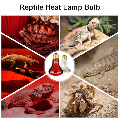 KINUR 2 Pack 75W Reptile Heat Lamp Bulbs, Reptile Day and Night Basking Spot Bulb Combo Amphibian Infrared Heat Lamp Bulb/UVA Basking Spot Daylight Heating Light Bulb - color: White 1pcs+red 1 Pack