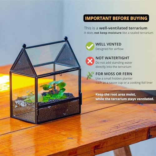 NCYP Small Glass Enclosure with Mesh for Jumping Spiders - 5.8" x 3.8" x 7" Micro House Shaped Small Spiders Vented Glass Terrarium, Home Decor Black (Glass Terrarium Only) - size: 5.8" x 3.8" x 7"