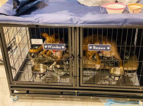 Custom Engraved 2" x 6" Pet Crate Tags