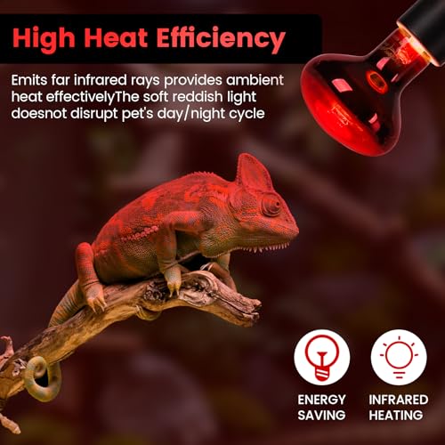 75W Infrared Heat Lamp Bulbs – 2-Pack Red IR Basking Light for Reptile & Amphibian, Silent Night-Time Heating, E26 Base, Bearded Dragon,Lizard,Turtle,Chicken - color: Red, size: 75W