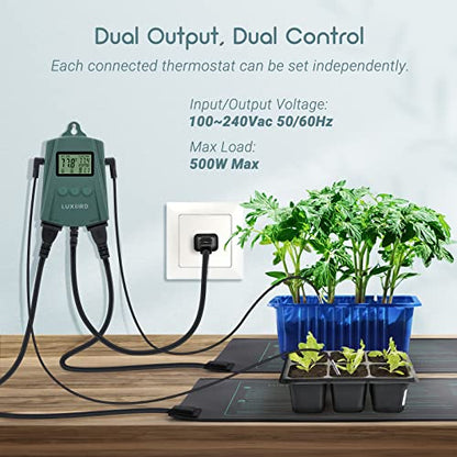 LUXBIRD Digital Temperature Controller LB-2SC, Thermostat Outlet for Reptile Terrarium Greenhouse Grow Tent, 2-Year Warranty, 2-Year Warranty (Green)