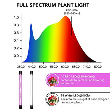 LED Grow Light,6000K Full Spectrum Clip Plant Growing Lamp with White Red LEDs for Indoor Plants,5-Level Dimmable,Auto On Off Timing 4 8 12Hrs | Desk Lamp with White Red LEDs for Indoor Plants,Clamp with Flexible Gooseneck,5-Level Dimmable,Auto Timer 4 8