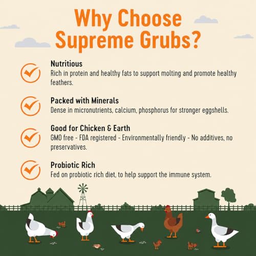 Natural Black Soldier Fly Larvae for Chickens, 85X More Calcium Than Mealworms-High Protein Grub Food Chicken Treats for Hens, Probiotic-Rich Chicken Feed, Calcium-Dense Bird Treat 5lb - size: 5 Pounds