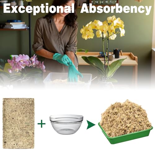 12L Premium Sphagnum Moss for Plants Indoor, New Zealand Sphagnum Moss for Orchid Potting Mix Terrarium Succulent Carnivorous Ferns Hosta Garden & Reptile Habitat