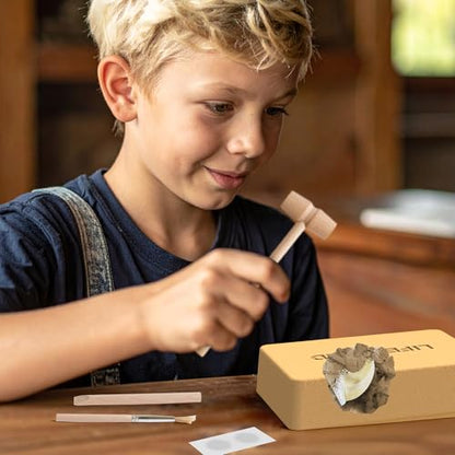 Predator Excavation Kit - Tiger vs Crocodile Fossil Dig Kit for Kids - Discover 2 Life-Sized Replicas: Tiger Claw & Crocodile Tooth - STEM Educational Science Toy for Boys & Girls Ages 6+ - size: Tiger Claw & Crocodile Tooth